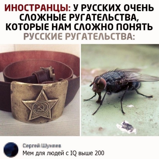 Бляха муха картинка