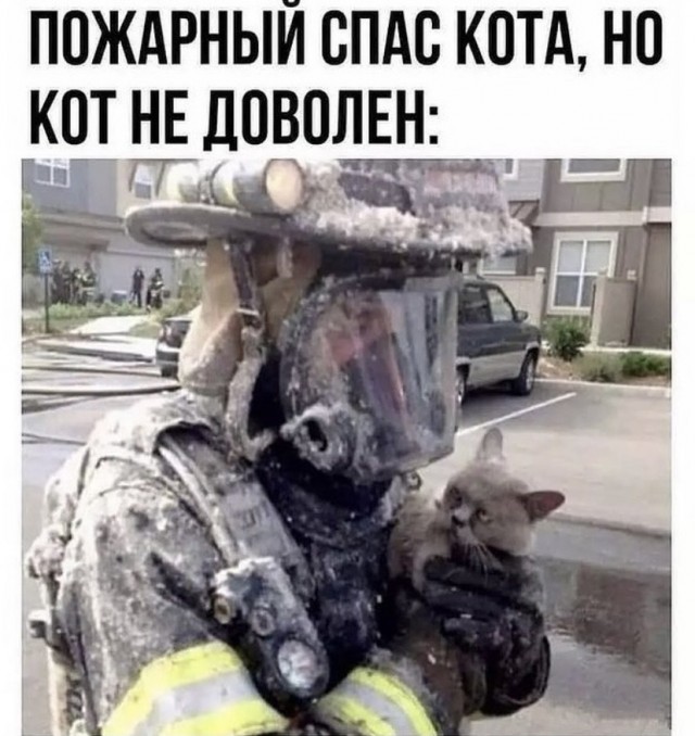 Так себе картинки 10.10.21
