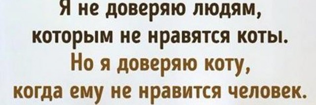 Всяческие картинки 19.10.2021