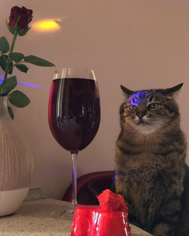 Субботний Степан
