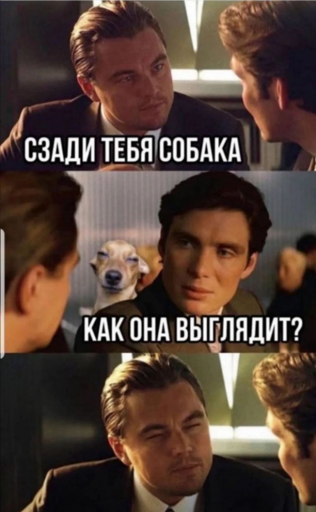 Картинки и мемы для настроения