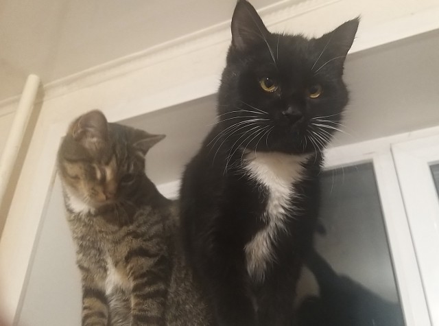 Котовторниковское