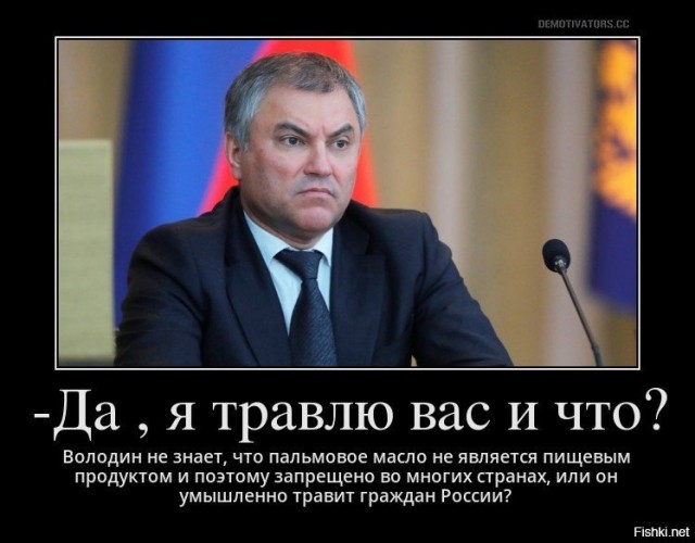 Володин призвал бизнесменов думать не о прибыли, а о стране и людях
