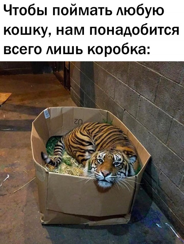 Так себе картинки 12.04.22