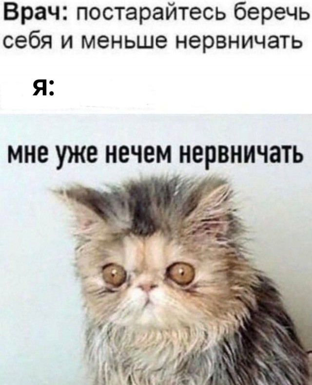 Так себе картинки 10.07.22