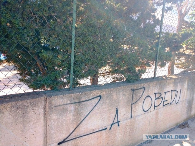 4 года псу под хвост?