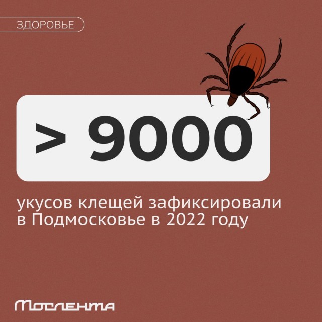 Пандемия съехавших крыш - разновидности болезни. Россия и мир. Часть 38