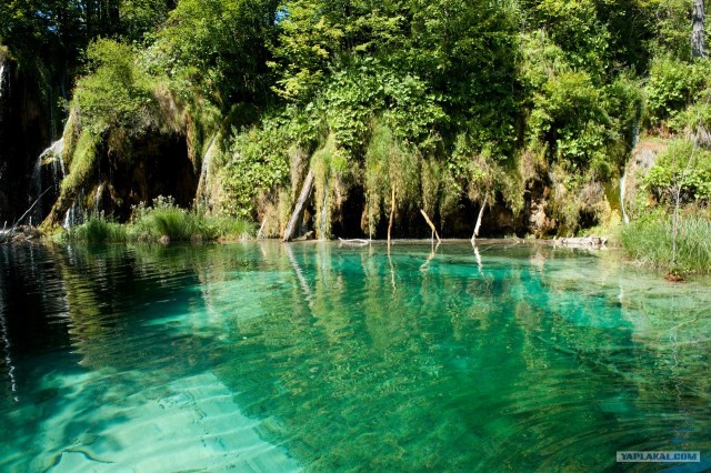 Поездка в Хорватию