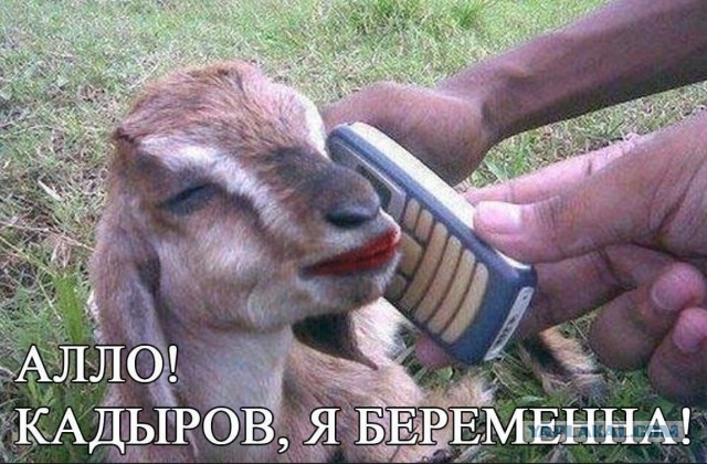 ⚡️Кадыров призвал регионы произвести «самомобилизацию»