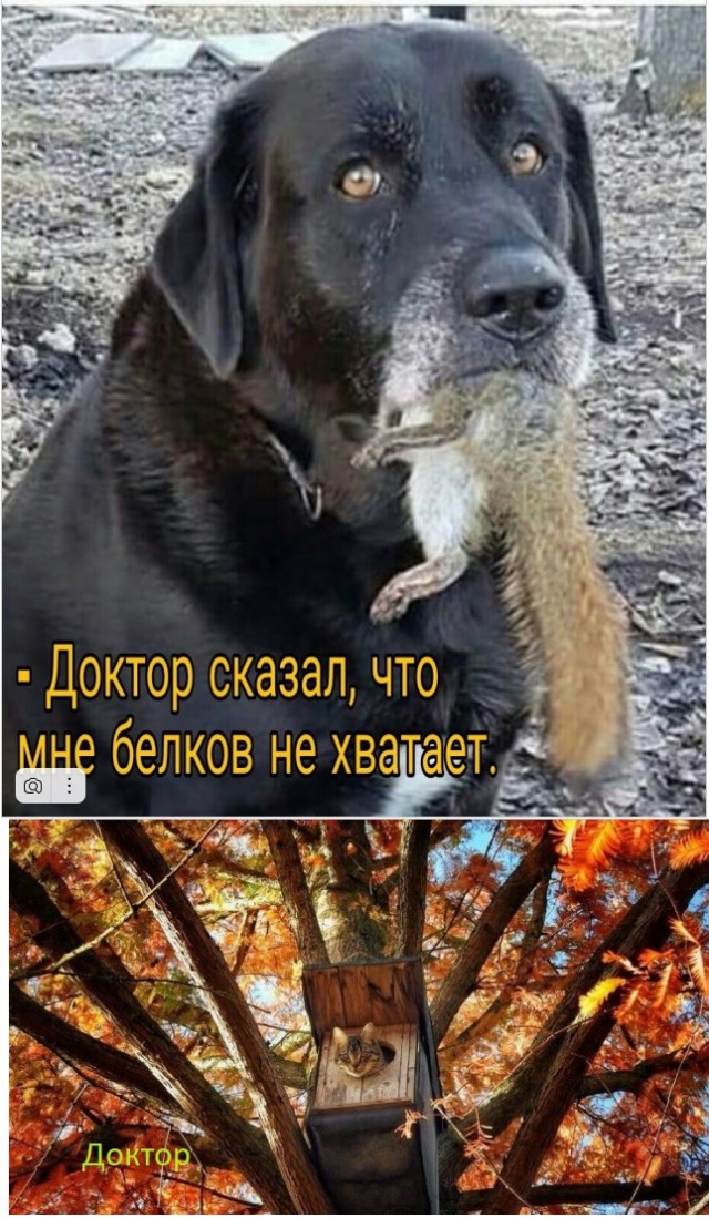 Так себе картинки 17.09.22