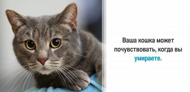 30 суровых фактов, которые пугают больше, чем фильмы ужасов