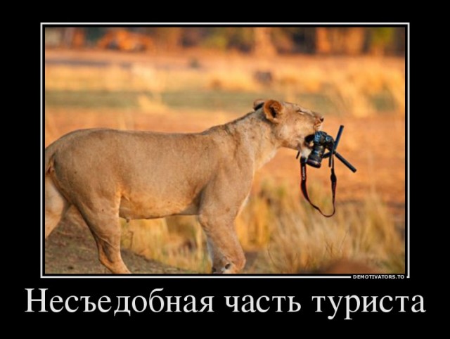 Так себе картинки 17.10.22