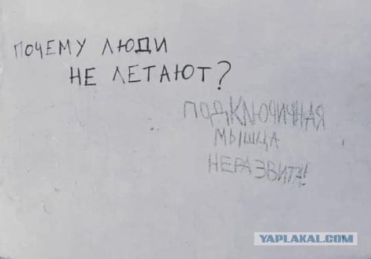 Несмешные анекдоты с бородой