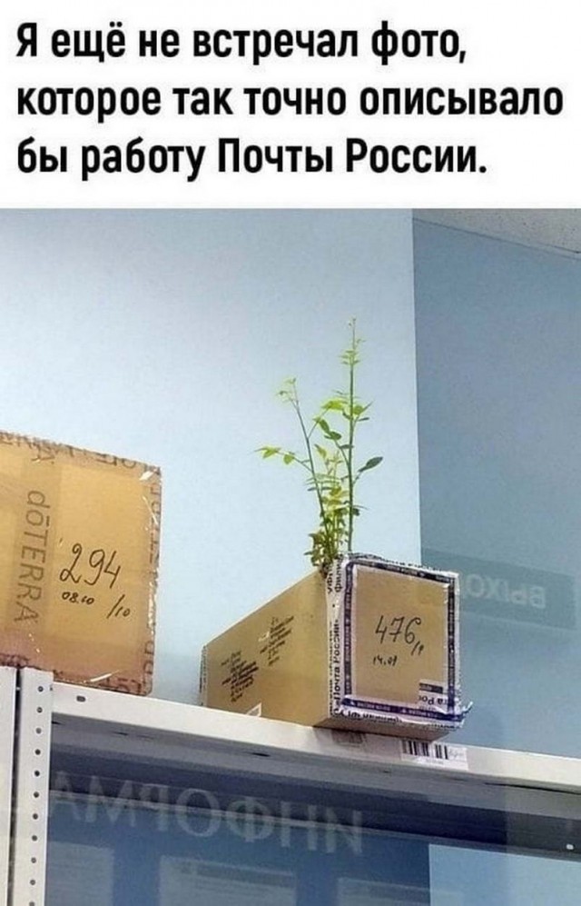 Немного картинок для настроения