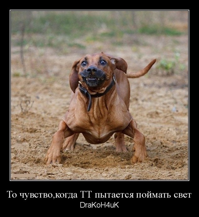 Wargaming 4