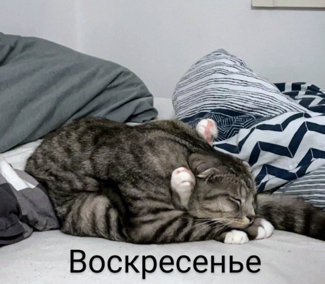 Всем хороших выходных - картинки и т.п.