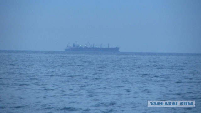 Крым в феврале или "Не стреляйте в белых лебедей!"