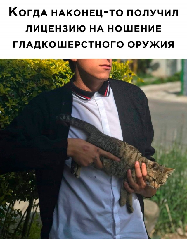 Так себе картинки 23.06.23