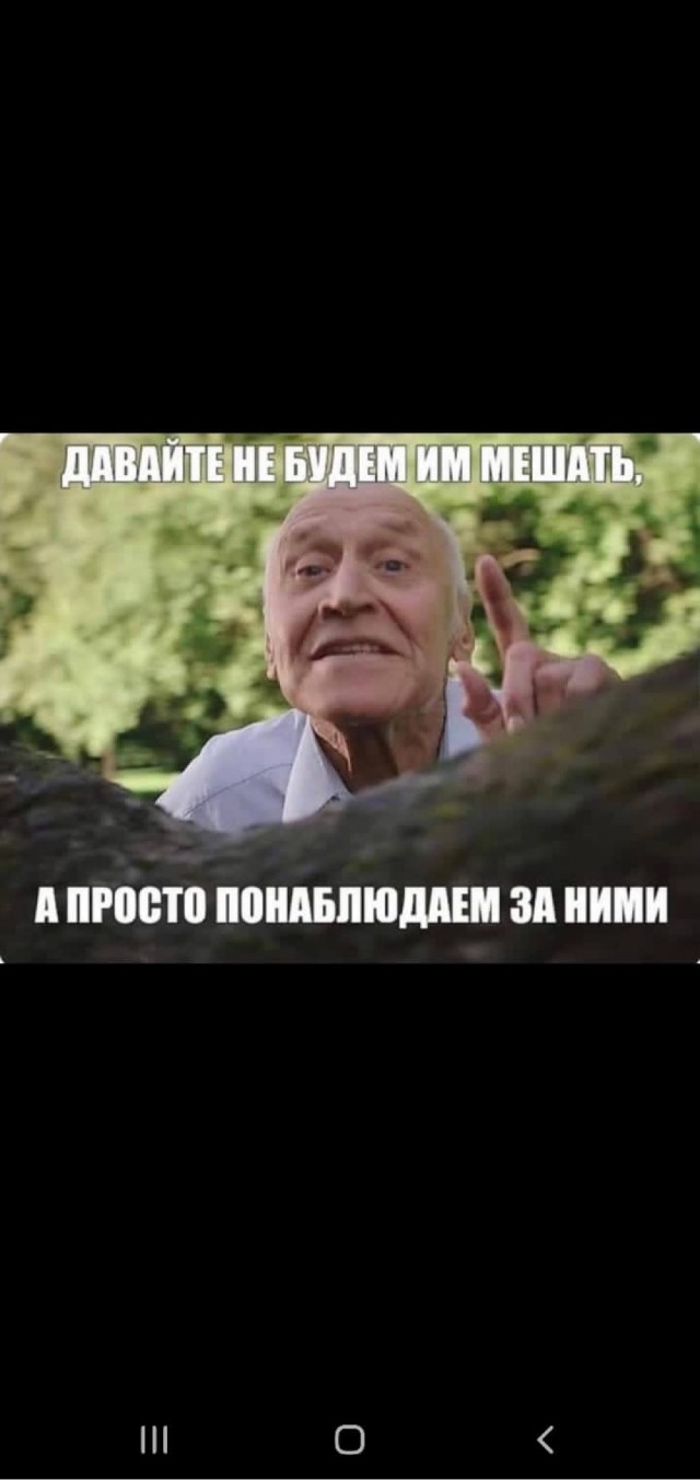 Немного мемов на злобу дня