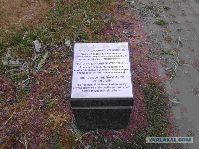 Беларусь. Июнь 2023
