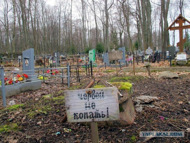 Кладбище