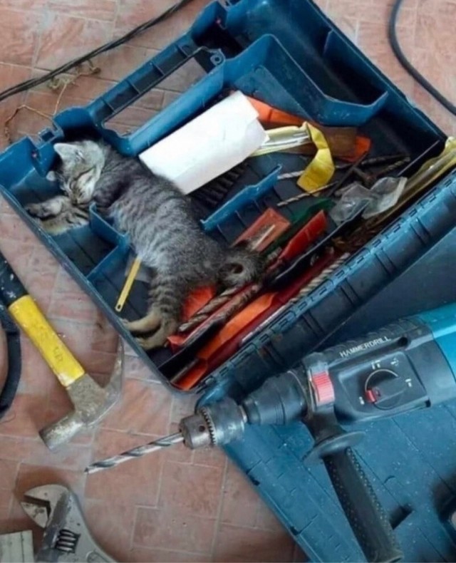 Что за инструмент?