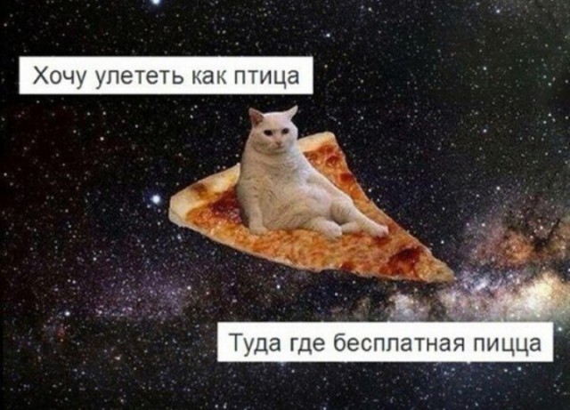 Всего понемногу. От 09.10.23