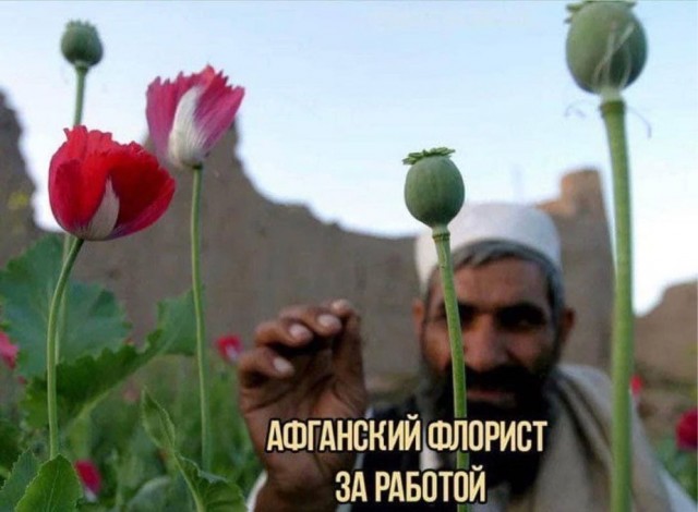 Отряд быстрого деградирования