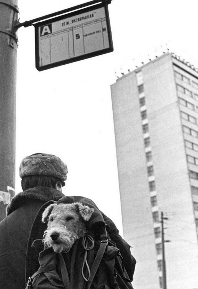 Москва и москвичи. Двадцатый век. (13.11.23)