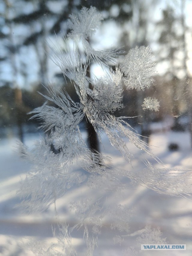 У нас -40, Екатеринбург