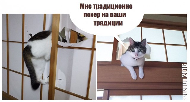 У, суки кожаные, рыбов зажали