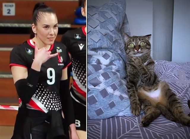 Спортивные барышни 2