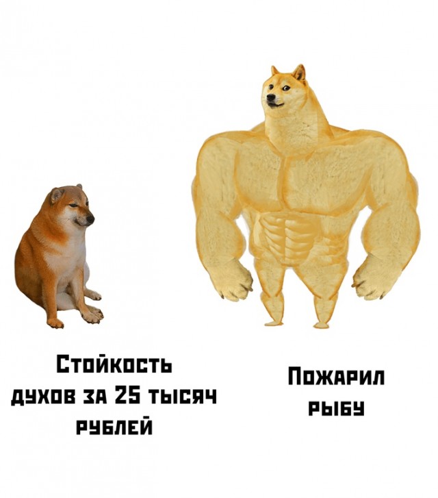 Весёлый полтишок 02.04.24