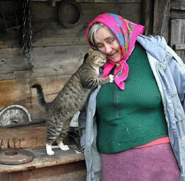 ФотоВинегрет