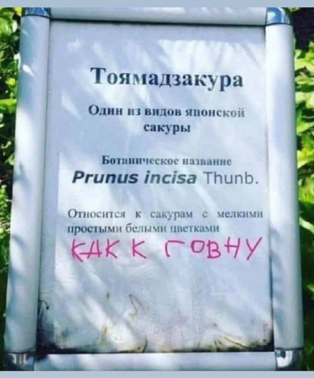 Веселые картинки к пятнице (07.06)