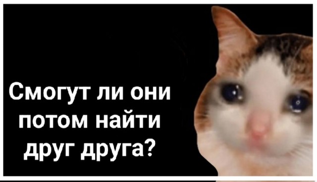 Двух нелегалов сдуло с самолёта. Живы ли, неизвестно.