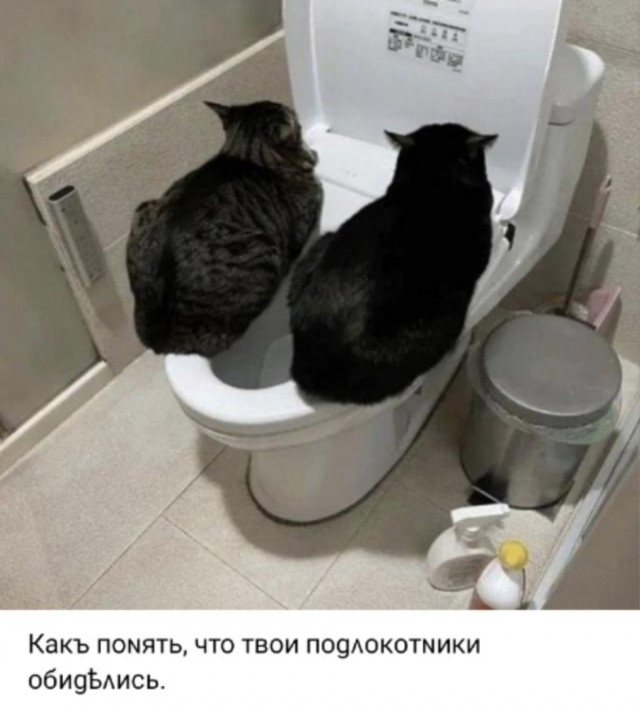 Так себе картинки 25.12.24