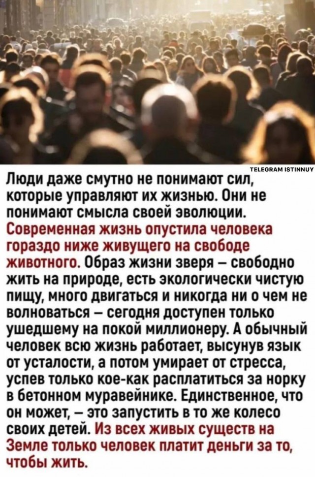 Ковид, Цифровая валюта и прочие радости