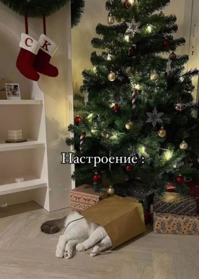 Веселые картинки в пятницу (10.01)