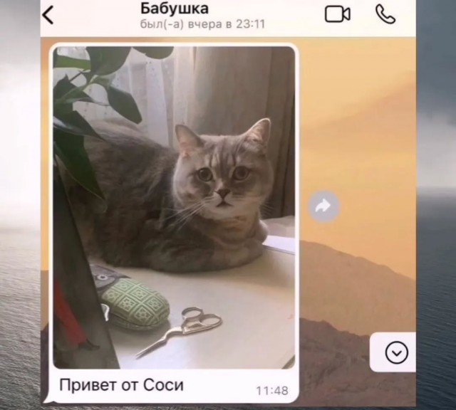 Завалялось тут случайно немного забавных картинок