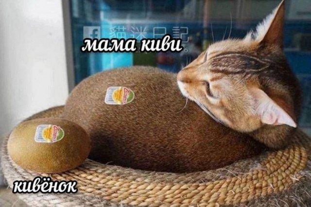 Картинки разные с надписями и без
