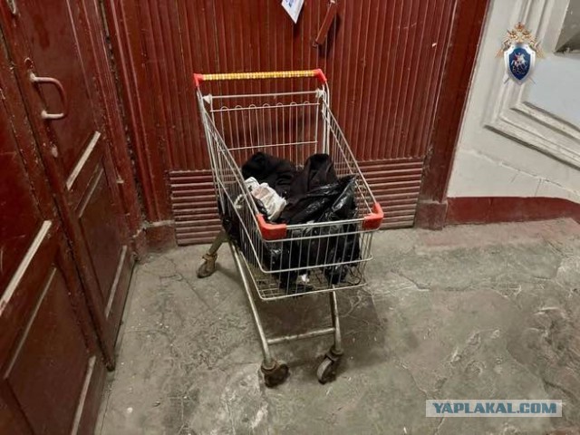 В центре Петербурга задержали пенсионера с продуктовой тележкой, в которой он вез человеческие останки