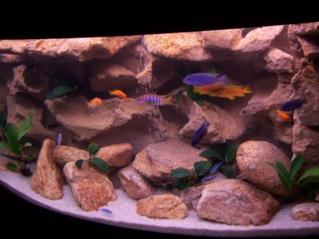 Самодельный объемный фон в аквариум