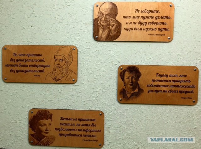 Проект "Голые стены"