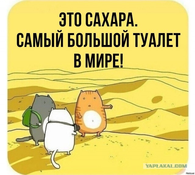 Откуда берётся песок?