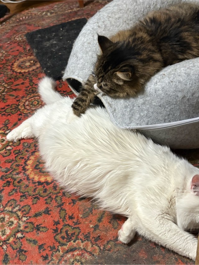 Вот такое оно - одиночество