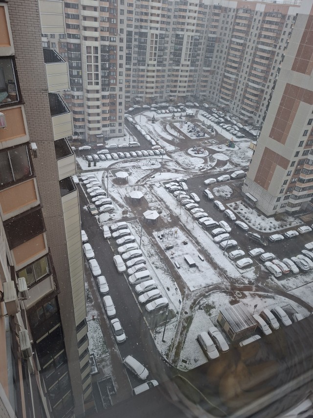 В Питере выпал снег