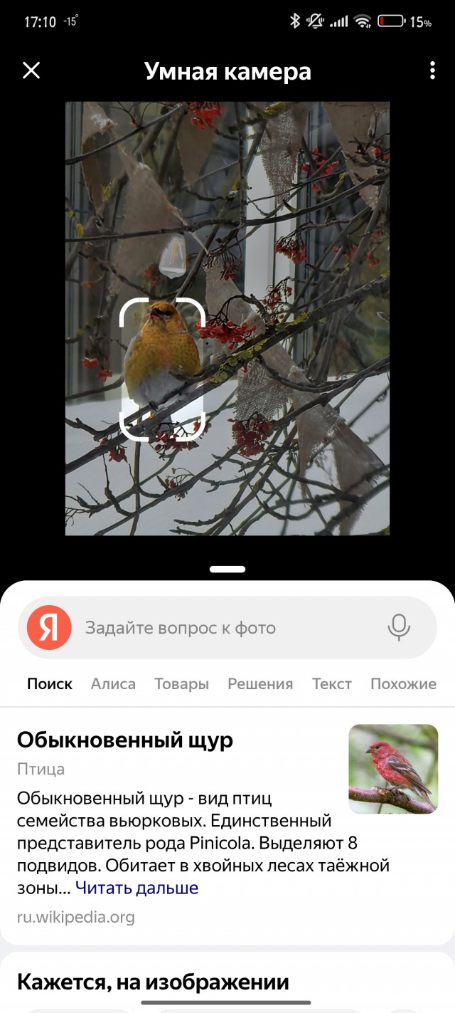 Щуры вернулись в Москву спустя сто лет.