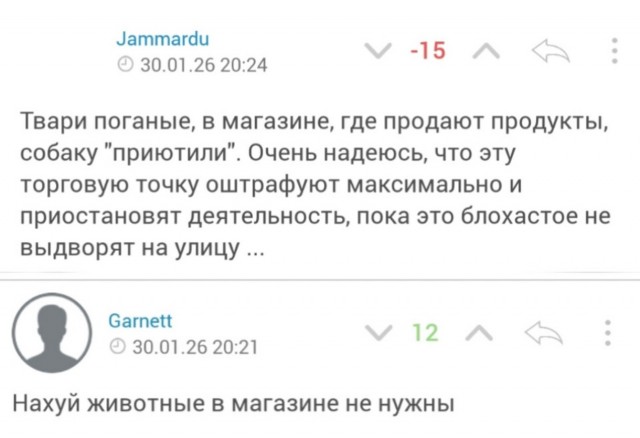 Приютили животину