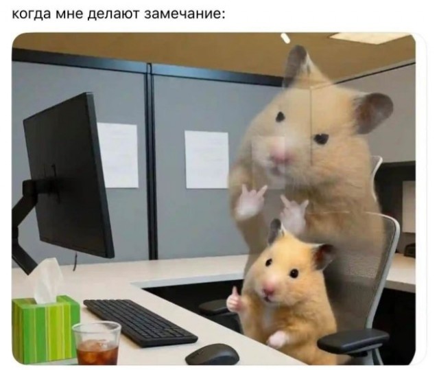 Картиночки, баянчики 09 февраля